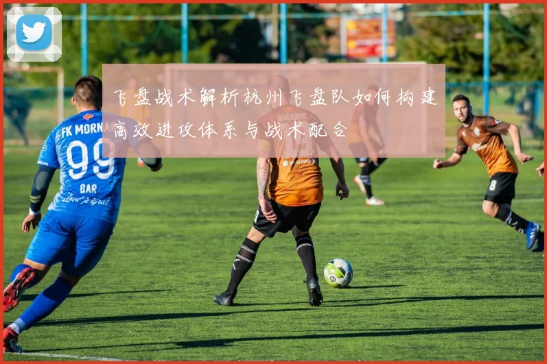 飞盘战术解析杭州飞盘队如何构建高效进攻体系与战术配合