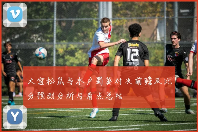 大宫松鼠与水户蜀葵对决前瞻及比分预测分析与看点总结