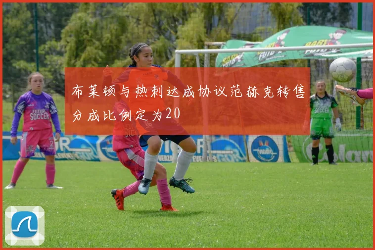 布莱顿与热刺达成协议范赫克转售分成比例定为20